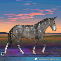 Horse Color:Powder White Grullo Sabino Brindle