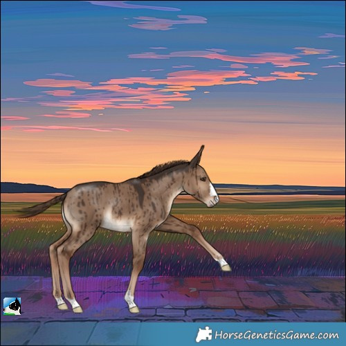 Horse Color:Liver Red Dun Rabicano Brindle