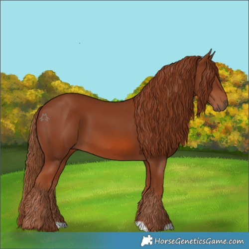 Horse Color:Chestnut 