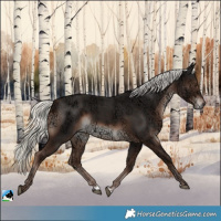 Horse Color:Liver Chestnut Ice Mushroom Rabicano 