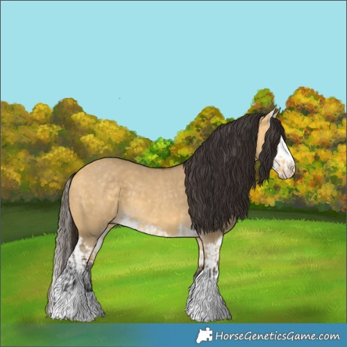 Horse Color:Buckskin Dun  and Buckskin Dun Splash 
