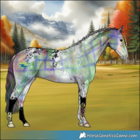 Horse Color:Nacre Plaid  Buckskin Onyx Tobiano 