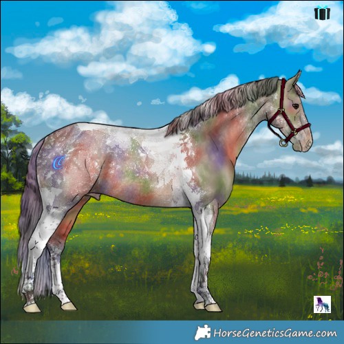 Horse Color:Nacre Brown Dun Tobiano Varnish Rabicano 