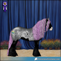 Horse Color:Painted Silver Brown Chinchilla Sabino Splash 