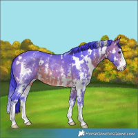 Horse Color:Watercolor White Spotted Brown Sabino
