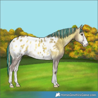 Horse Color:Painted Chocolate Palomino Ice Onyx Blanket 