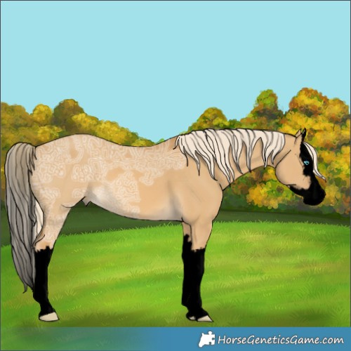 Horse Color:Void Palomino Ice Dun Splash 