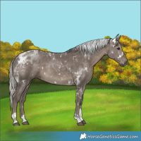 Horse Color:White Spotted Silver Black Tobiano Rabicano 