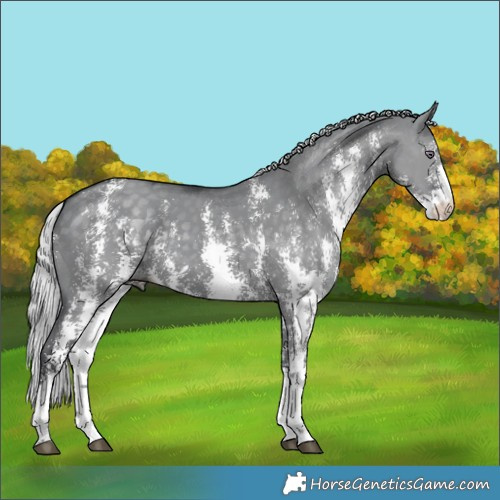 Horse Color:Silver Grullo Chinchilla Sabino