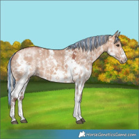 Horse Color:Painted Chocolate Silver Bay Ice Dun Sabino 