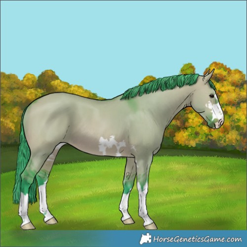 Horse Color:Watercolor Brown Dun 