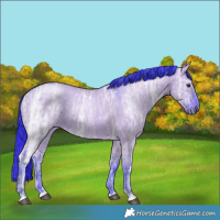 Horse Color:Watercolor Grullo Chinchilla Ice Rabicano 