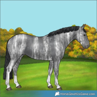 Horse Color:Black Chinchilla Ice Tobiano 