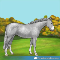 Horse Color:Silver Grullo Chinchilla Ice Rabicano 