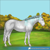 Horse Color:White Spotted Silver Grullo Chinchilla Ice 