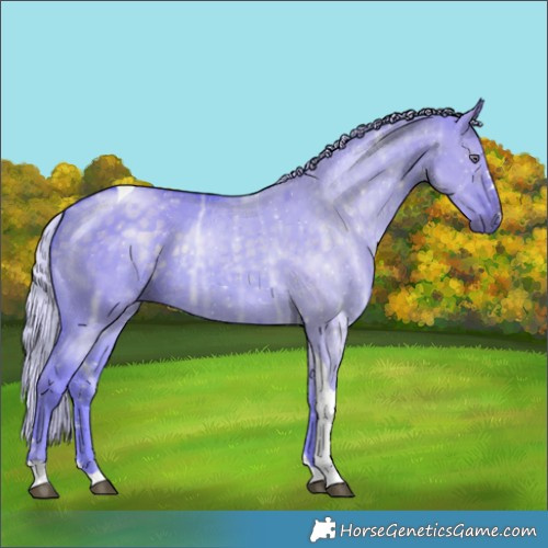 Horse Color:Watercolor Silver Grullo Chinchilla Ice Tobiano