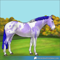 Horse Color:Watercolor White Spotted Brown Dun Tobiano Blanket Rabicano