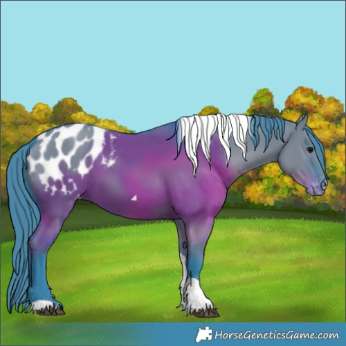 Horse Color:Watercolor Grullo Tobiano Appaloosa