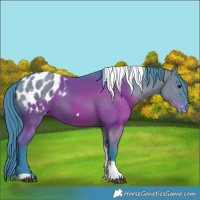 Horse Color:Watercolor Grullo Tobiano Blanket 
