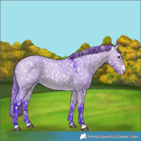Horse Color:Watercolor Buckskin Dun Snowflake Varnish 