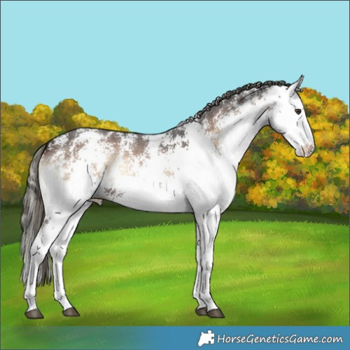 Horse Color:White Spotted Liver Red Onyx Mushroom 
