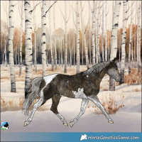 Horse Color:Silver Buckskin Ice Tobiano Rabicano
