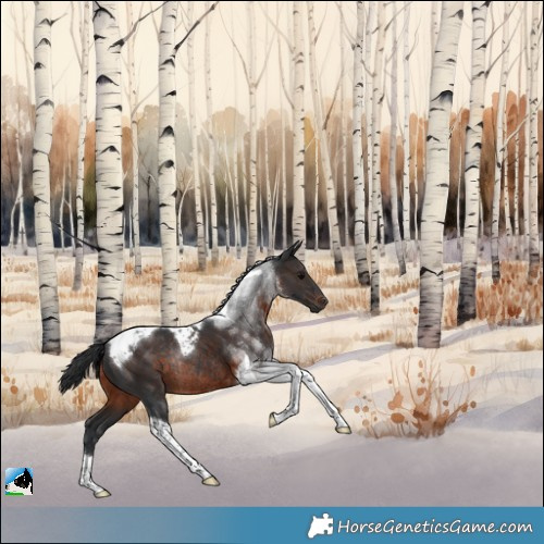 Horse Color:Brown Tobiano Rabicano