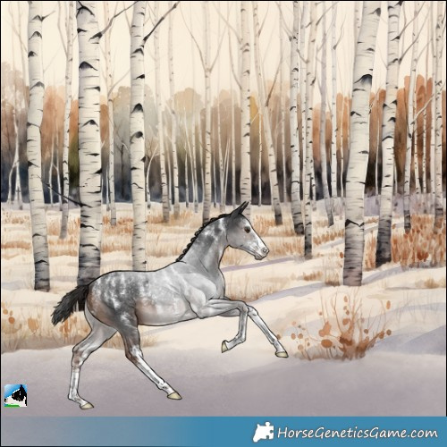 Horse Color:Powder White Liver Chestnut Sabino Rabicano 