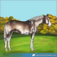 Horse Color:White Spotted Liver Red Onyx Mushroom 