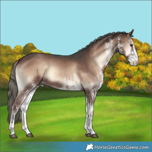 Horse Color:White Spotted Liver Red Onyx Mushroom 