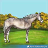 Horse Color:Liver Red Onyx Ice Mushroom 