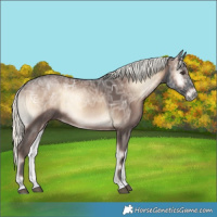 Horse Color:Liver Red Onyx Ice Mushroom Rabicano