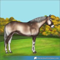 Horse Color:Liver Red Onyx Mushroom