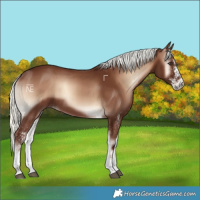 Horse Color:White Spotted Red Onyx Mushroom