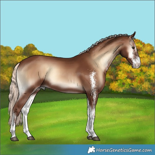 Horse Color:White Spotted Red Onyx Mushroom 
