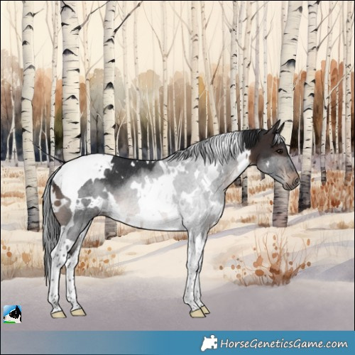 Horse Color:White Spotted Brown Tobiano Rabicano