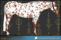 Horse Color:Chocolate Silver Bay Near Leopard 