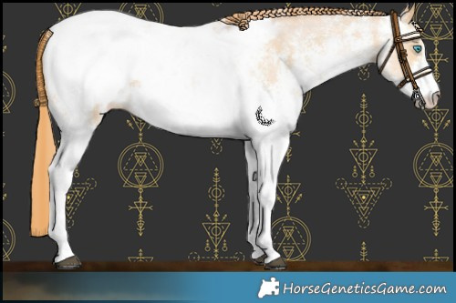Horse Color:White Spotted Chocolate Buckskin Snowdrop Snowcap 