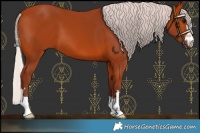Horse Color:Chocolate Silver Bay