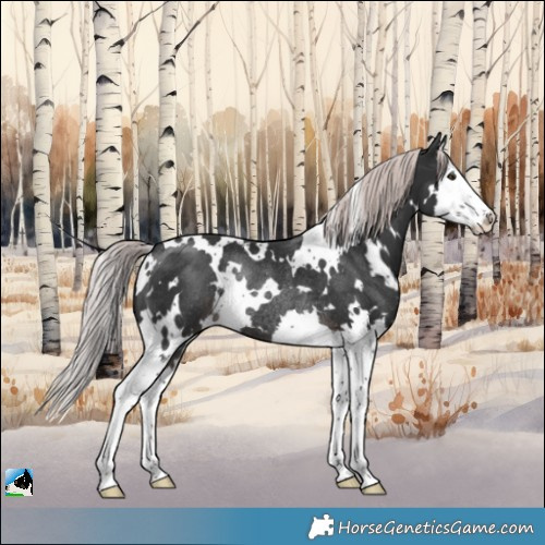 Horse Color:Platinum White Spotted Liver Chestnut Splash Rabicano