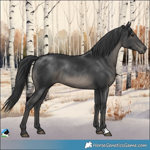 Horse Color:Platinum Black Rabicano