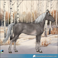 Horse Color:Platinum Chocolate Palomino Rabicano 