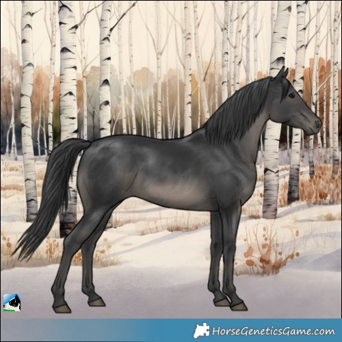 Horse Color:Platinum Black Rabicano