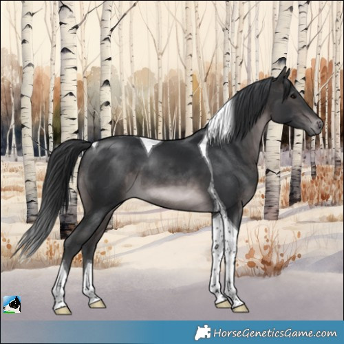 Horse Color:Platinum Brown Tobiano 
