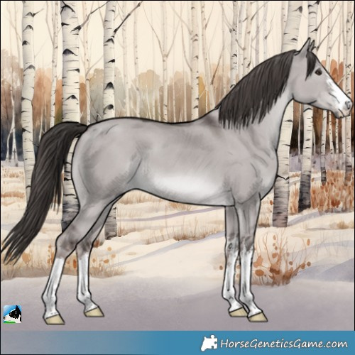 Horse Color:Platinum White Spotted Liver Red Dun