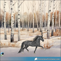 Horse Color:Black Snowflake VarnishRabicano 