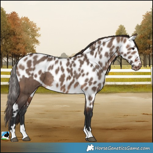 Horse Color:Brown Dun Skewed LP Spotted Brindle