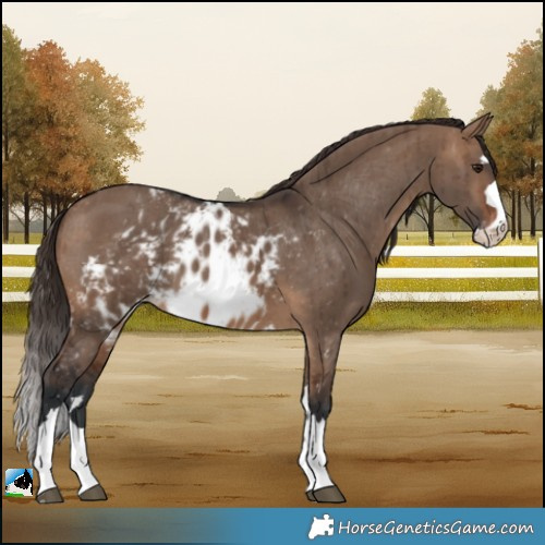 Horse Color:Brown Dun Skewed LP Spotted Brindle 