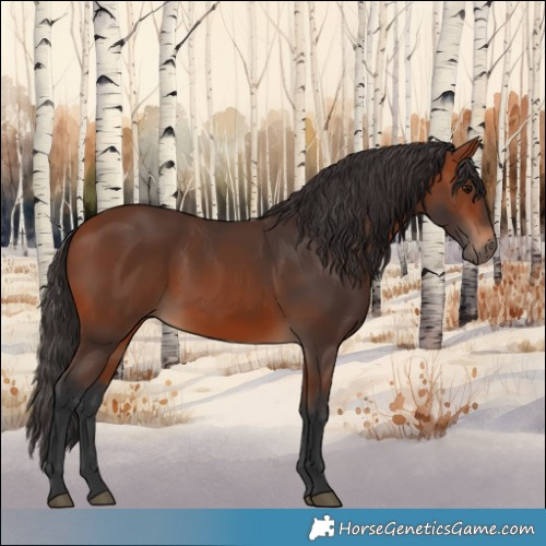 Horse Color:Bay 