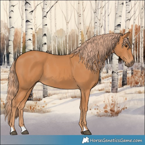 Horse Color:Chestnut 